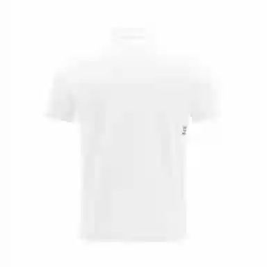 DESCENTE TRAINING logoPolo