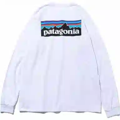 Patagonia P-6 Responsibili Tee