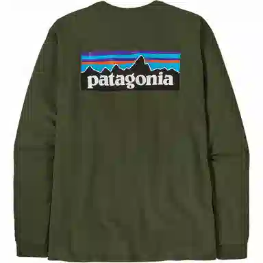 Patagonia P-6 Responsibili Tee