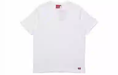 Dickies FW19 logoT