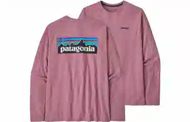 Patagonia P-6 Responsibili Tee