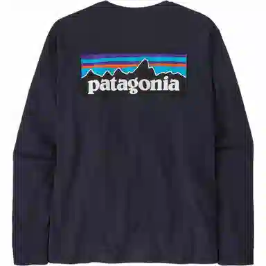 Patagonia P-6 Responsibili Tee