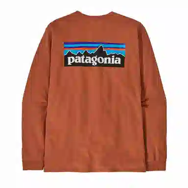 Patagonia P-6 Responsibili Tee