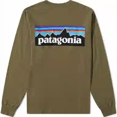Patagonia P-6 Responsibili Tee