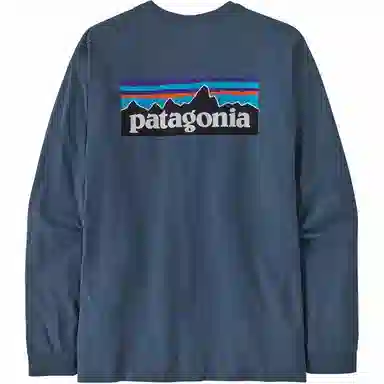 Patagonia P-6 Responsibili Tee