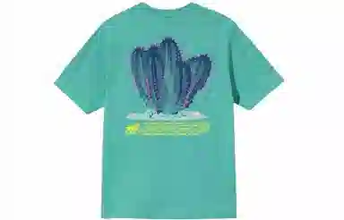 Stussy Desert Bloom Tee T