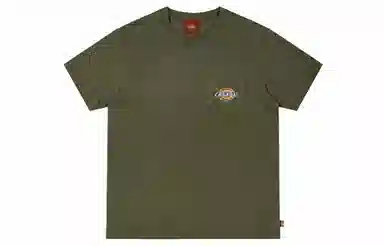 Dickies SS21 logoT