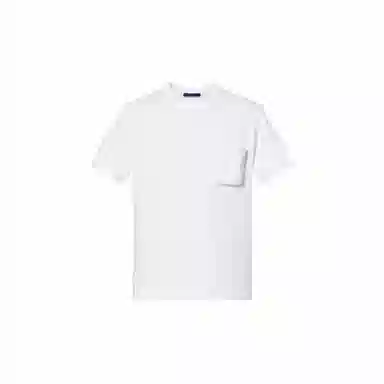 LOUIS VUITTON Monogram 3DT