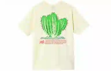 Stussy Desert Bloom Tee T