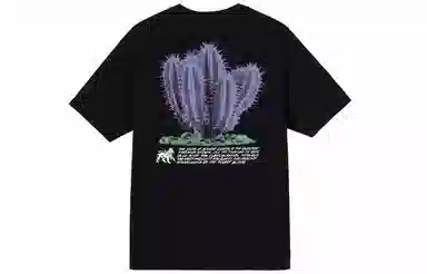 Stussy Desert Bloom Tee T