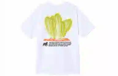 Stussy Desert Bloom Tee T