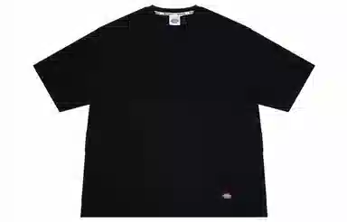 Dickies SS21 T