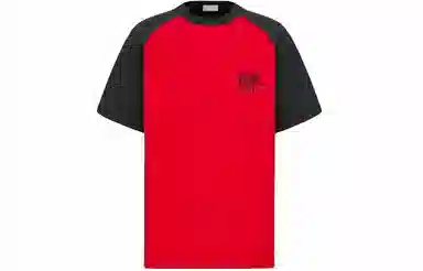 DIOR DIOR T