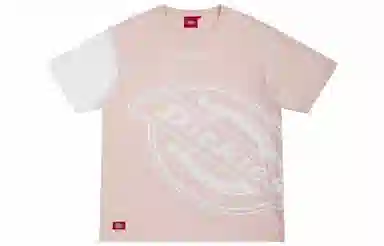 Dickies SS21 logoT