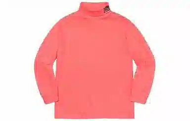 Supreme x THE NORTH FACE SS20 Week 3 RTG Turtleneck T