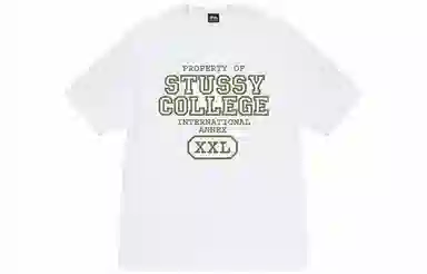 Stussy Property of Tee