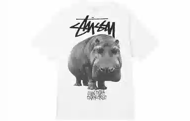Stussy Livin Large Tee T