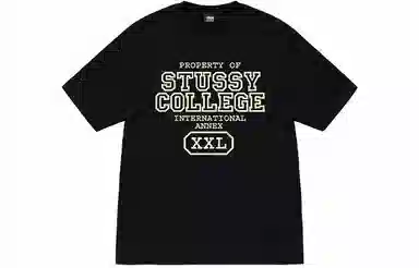Stussy Property of Tee
