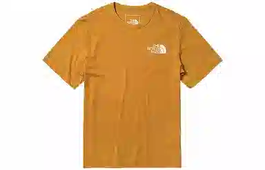 THE NORTH FACE logoT