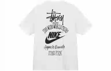 Nike x Stussy Classic Logo Tee