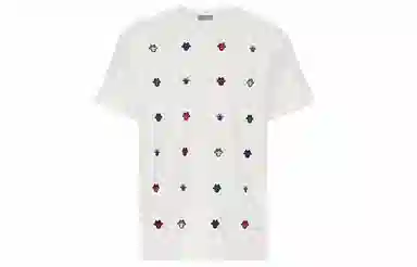 DIOR T