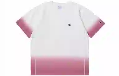 Champion Reverse Weave CT