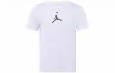 Air Jordan Dri-FIT LogoT