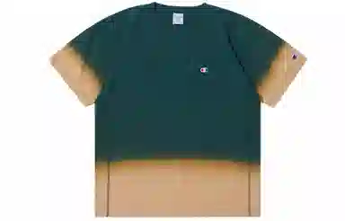 Champion Reverse Weave CT