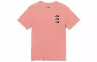 THE NORTH FACE SS22 LogoT