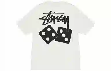 Stussy Dice Pigment Dyed Tee