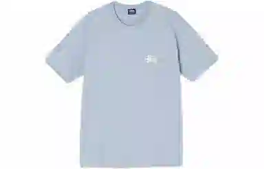Stussy SS21 T