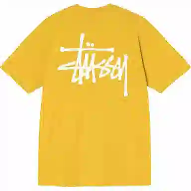 Stussy SS21 T