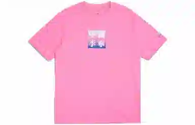 SS20 T