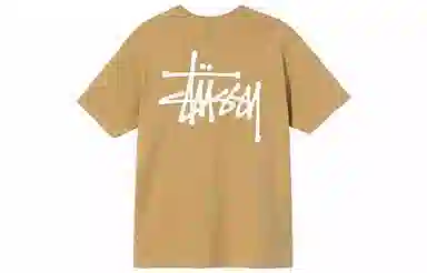 Stussy SS21 T