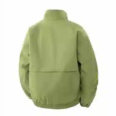 GOOSELIAR