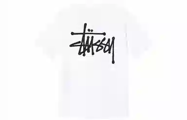 Stussy SS21 T