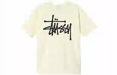 Stussy SS21 T