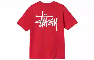 Stussy SS21 T