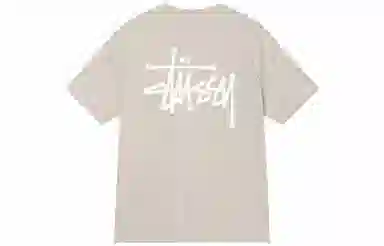 Stussy SS21 T