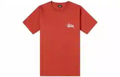 Stussy SS21 T