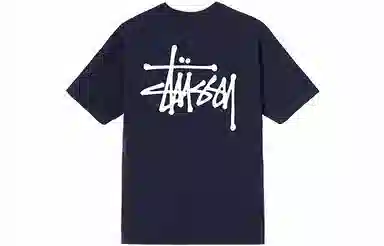 Stussy SS21 T