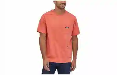 patagonia T