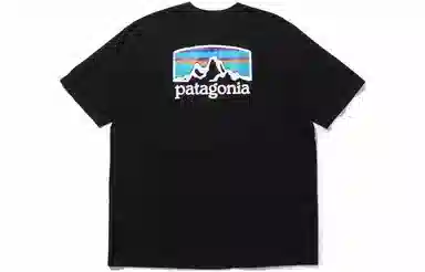 patagonia Horizons Responsibili T