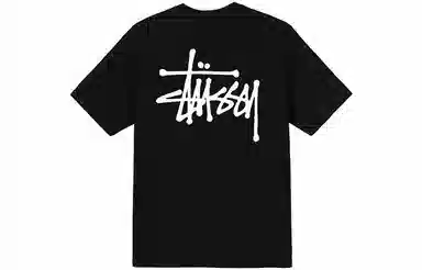 Stussy SS21 T