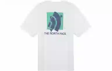 THE NORTH FACE Logo T