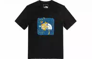 THE NORTH FACE T
