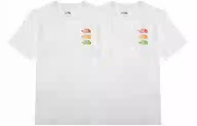 THE NORTH FACE SS22 Logo T