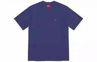 Supreme SS21 Week 10 Small Box Tee LogoT