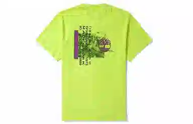 Timberland T