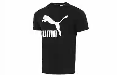 Puma T